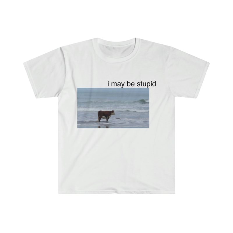 I May Be a Stupid Cow on the Beach Funny Meme T-Shirt