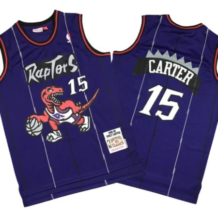 Vince Carter 15 Toronto Raptors Purple Throwback Swingman Stitched Jersey