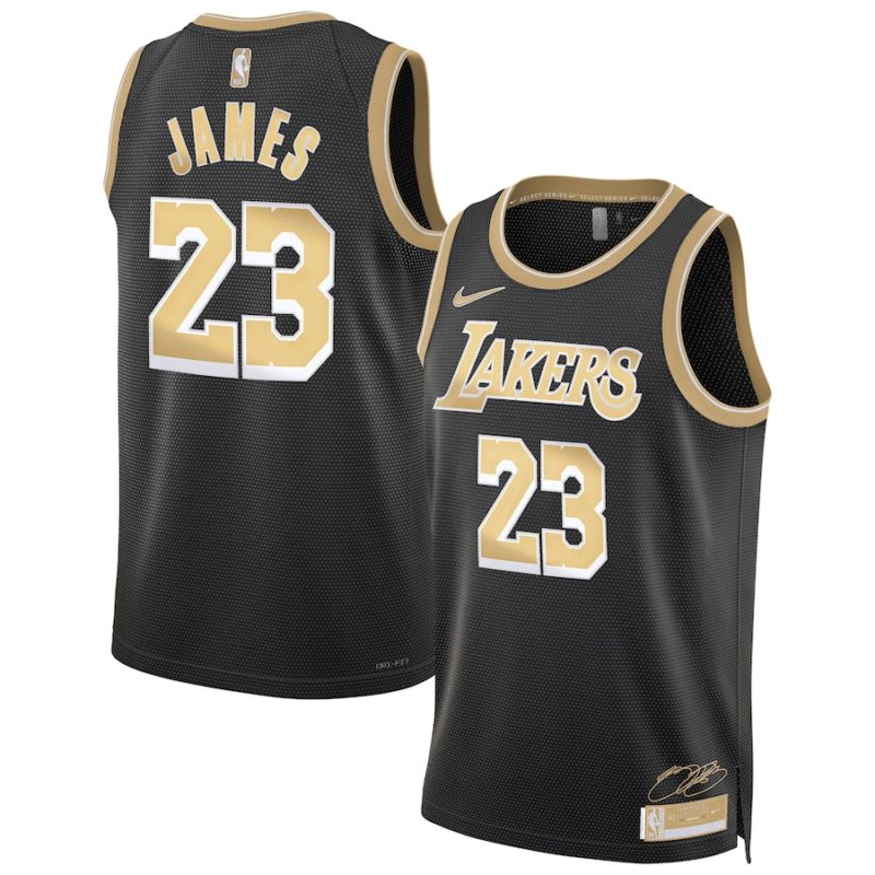 LeBron James Los Angeles Lakers Select Series Swingman Stitched Jersey - Mens